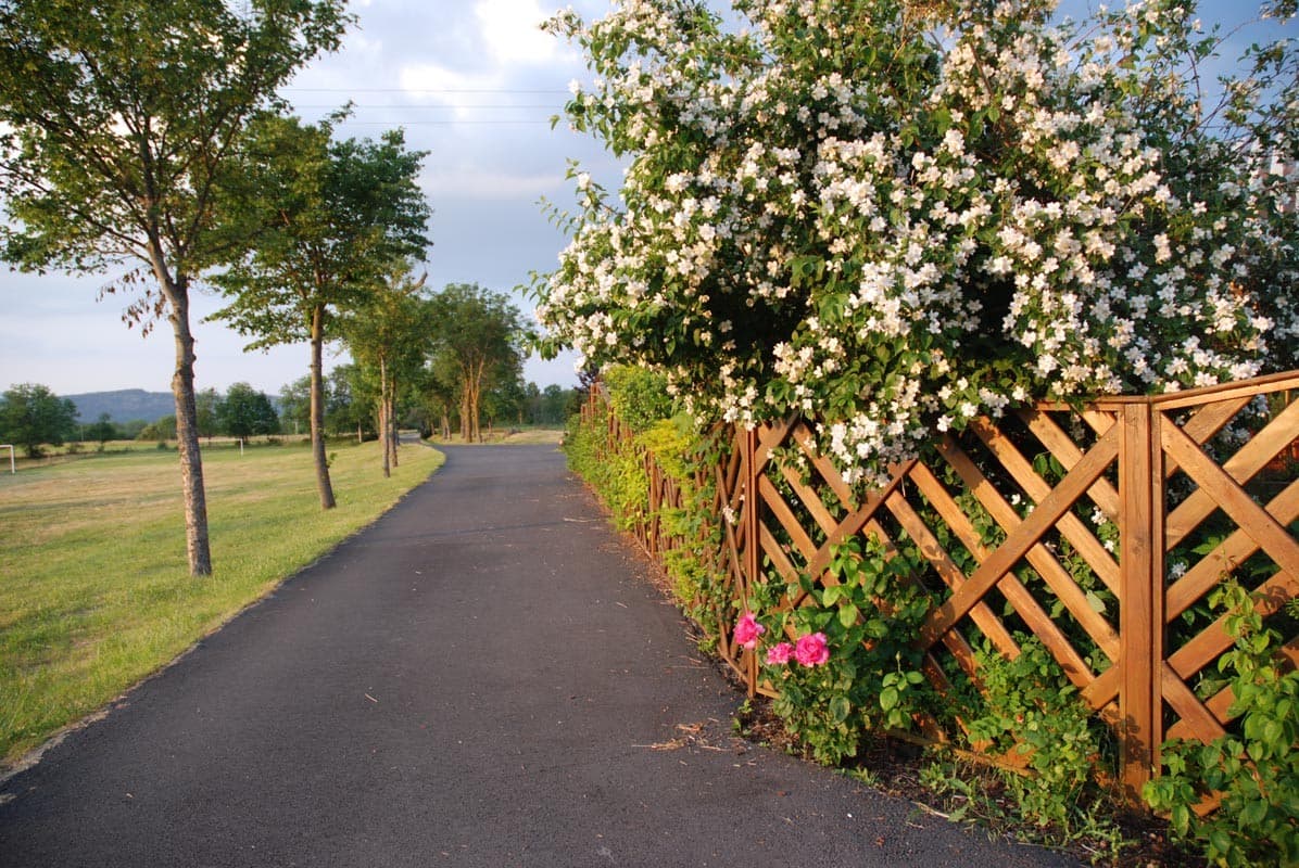 Terrasse fleurie avec vue panoramique